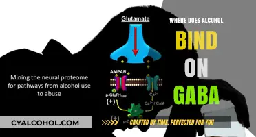Alcohol's Interaction with GABA Receptors: Binding Sites and Mechanisms Explained