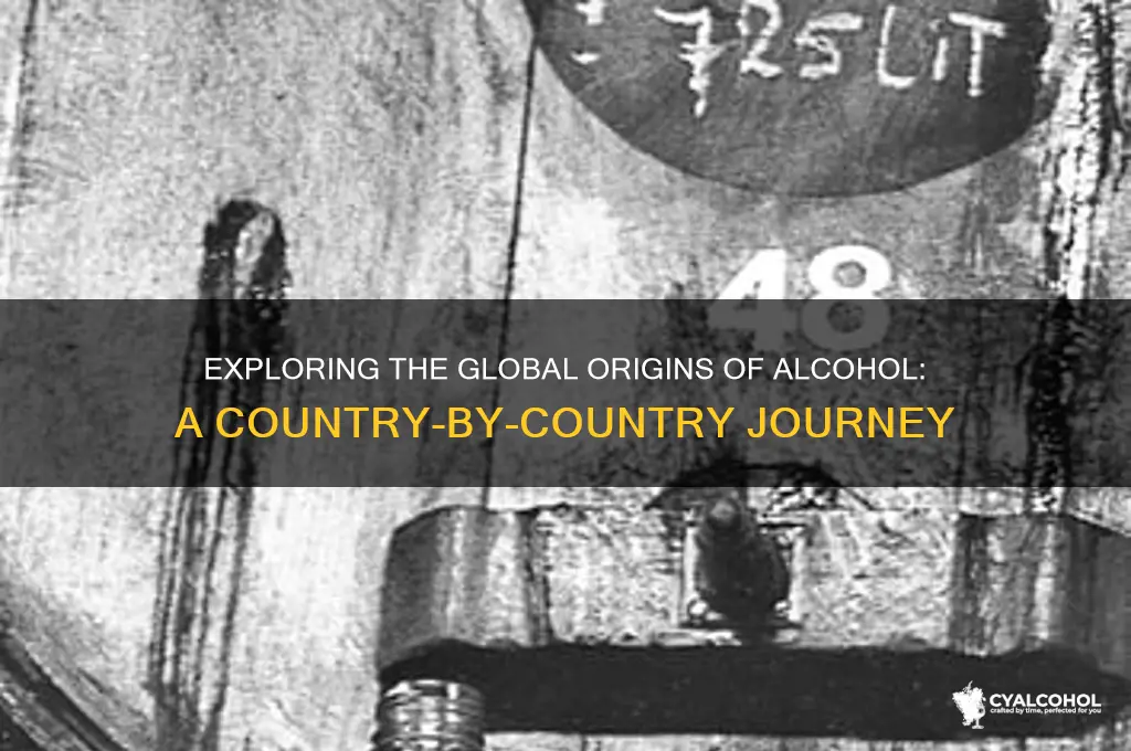 where does alcohol come from country