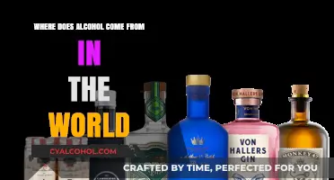 Exploring Alcohol's Global Origins: A Journey Through History and Culture