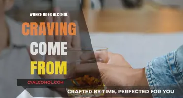 Unraveling the Origins of Alcohol Cravings: Causes and Triggers Explained