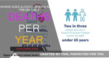 Alcohol's Preventable Death Toll: A Yearly Global Crisis