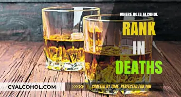Alcohol's Deadly Impact: Ranking Its Role in Global Fatalities