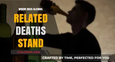 Alcohol-Related Deaths: Current Trends, Global Impact, and Prevention Strategies