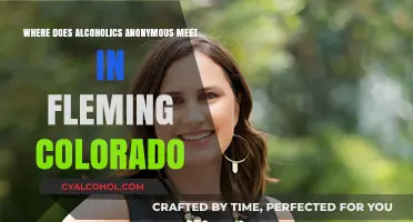Finding AA Meetings in Fleming, Colorado: Locations and Support Groups