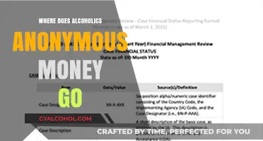 Where Does Alcoholics Anonymous Funding Go? A Financial Transparency Overview