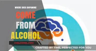 Alcohol's Dopamine Connection: Unraveling the Brain's Reward System Origins