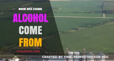Unveiling Ethanol's Origins: From Natural Sources to Industrial Production