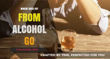 Where Does Alcohol Fat Go? Understanding Your Body's Process