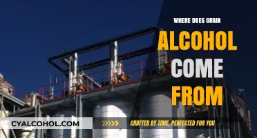 Unveiling the Origins of Grain Alcohol: A Detailed Production Journey