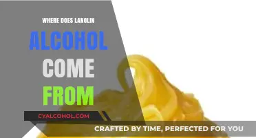 Unveiling Lanolin Alcohol's Origins: A Journey from Sheep to Skincare
