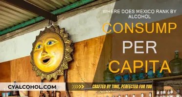Alcohol Consumption in Mexico: How High is it?