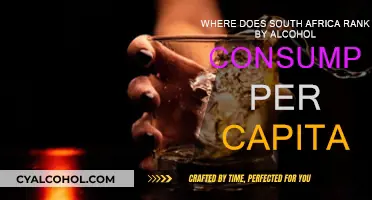 South Africa's Alcohol Consumption: How Does It Rank Globally?