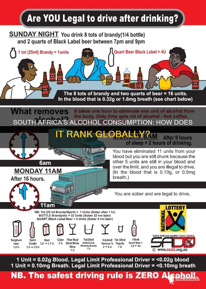 where does south africa rank by alcohol consumption per capita