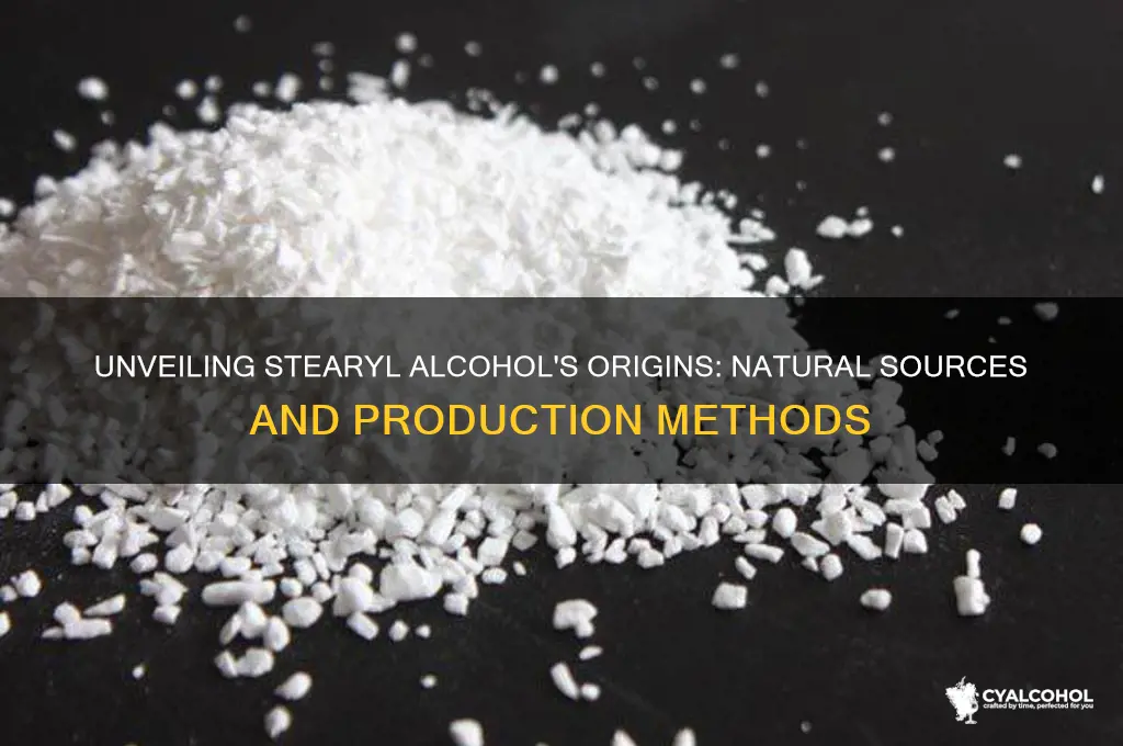 where does stearyl alcohol come from