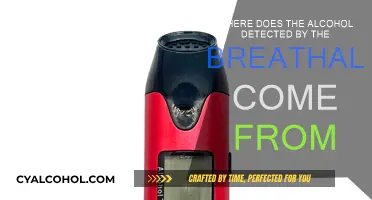 Breathalyzers: How Do They Detect Alcohol?