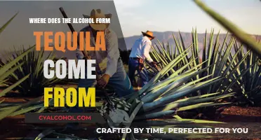 Unveiling Tequila's Origins: The Agave Plant's Journey to Alcohol