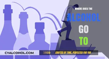 Where Does Alcohol Go in Your Body? A Journey Explained