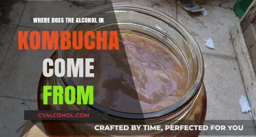 Unveiling Kombucha's Buzz: The Natural Fermentation Process Behind Its Alcohol