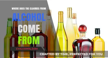 Unveiling Alcohol's Caloric Mystery: Sources of Hidden Liquid Calories