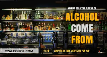 Unveiling the Origins of Alcohol's Flavor: Ingredients, Process, and Aging