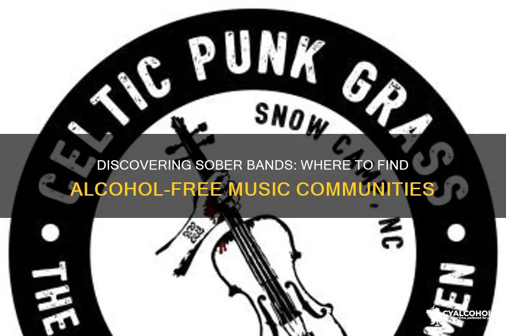 where i find bands that say no alcohol