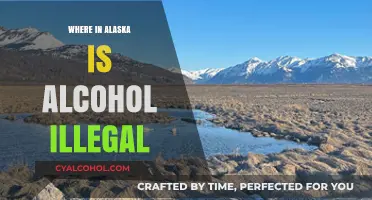 Alaska's Dry Communities: Where Alcohol Remains Prohibited in the Last Frontier