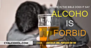 Alcohol in the Bible: Is It Forbidden?