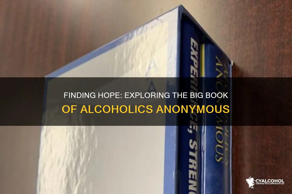 where in the big book of alcoholics anonymous