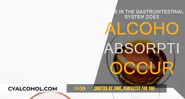 Alcohol Absorption: The Gut Reaction