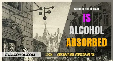 Alcohol Absorption in the GI Tract: Key Locations and Mechanisms