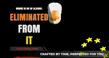 The Liver's Role: How 90% of Alcohol is Eliminated