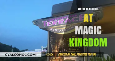 Finding Alcohol at Magic Kingdom: A Guide to Drinks in the Park