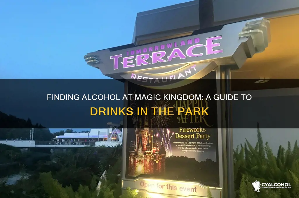 where is alcohol at magic kingdom