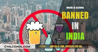 Alcohol-Free Zones: Exploring India's Regions with Liquor Bans