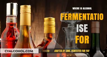 Where Alcohol Fermentation is Used: Exploring Its Diverse Applications