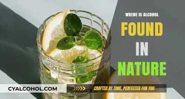 Exploring Nature's Hidden Alcohols: Surprising Sources in the Wild