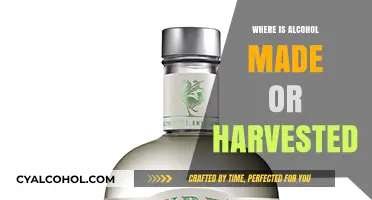 Exploring the Origins: Where Alcohol is Produced and Harvested