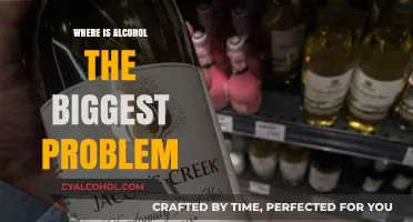 Global Alcohol Crisis: Regions Where Drinking Poses the Greatest Challenges