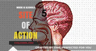 Unveiling Alcohol's Site of Action: Brain Regions and Mechanisms Explained