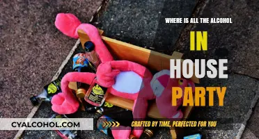 House Party Alcohol Hunt: Where Did All the Drinks Disappear?