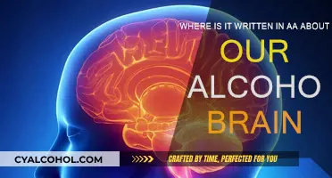 Alcoholic Brain: AA's Take on Cravings and Relapse