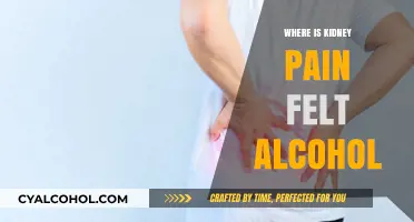 Alcohol and Kidney Pain: Where Does It Hurt and Why?