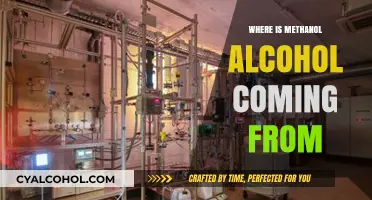 Unveiling Methanol's Origins: Sources and Production of Wood Alcohol