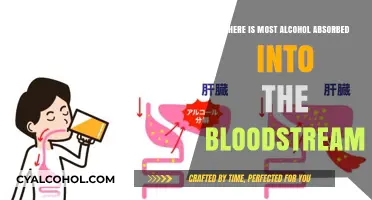 Alcohol Absorption: Where in the Body Does It Enter the Bloodstream?