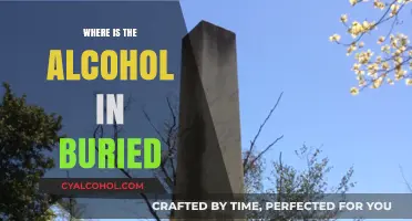 Uncovering Hidden Alcohol in Buried: Locations and Secrets Revealed