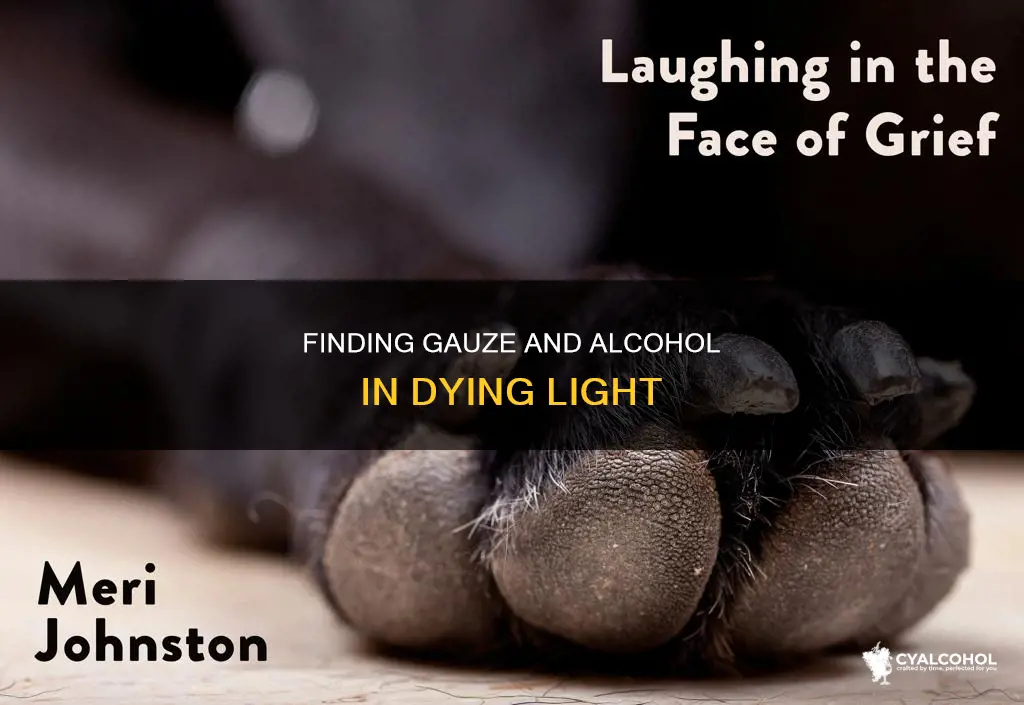 where is the gauze and alcohol in dying light