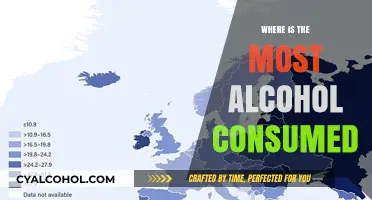 Global Alcohol Consumption: Which Countries Drink the Most?