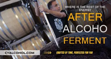 The Mystery Behind Alcohol Fermentation's Missing Energy