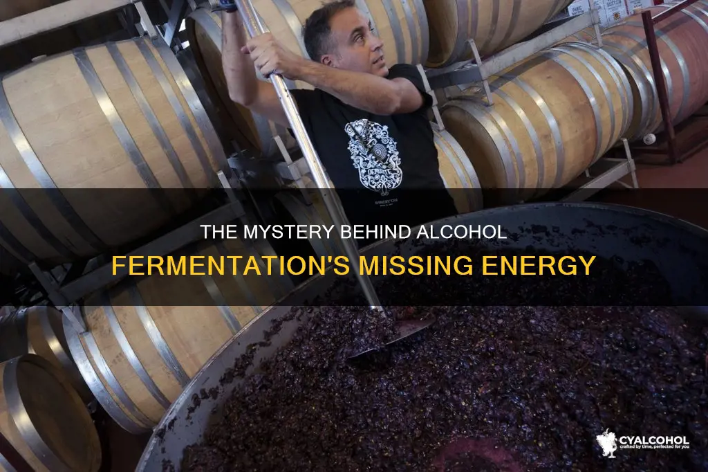 where is the rest of the energy after alcohol fermentation