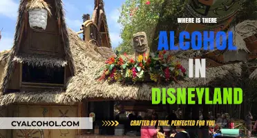 Discovering Disneyland's Hidden Bars and Alcoholic Delights
